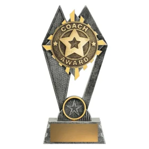 Silver / gold peak - player of the match with resin construction