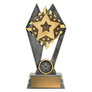 Silver peak - star with resin construction