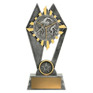Silver peak - triathlon with resin construction
