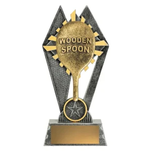 Silver peak - wooden spoon with resin construction