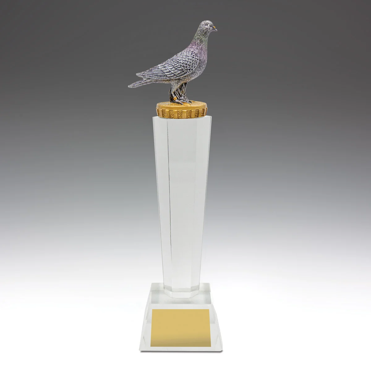 uc05a-grey-bg Pigeon crystal with crystal construction