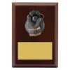 Walnut plaque - wicketkeeper with timber construction