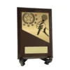 Cherry / gold plaque with public speaking trim with timber / epoxy construction