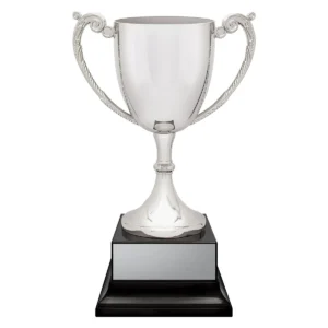 Silver provenance cup with metal / plastic construction
