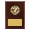lpf504-walnut Walnut quiz award plaque with timber construction
