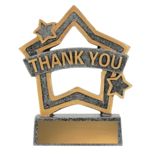 Silver rally mini star - thank you with resin construction