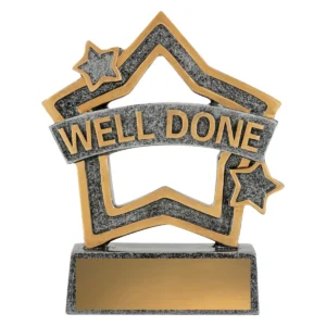 Silver rally mini star - well done with resin construction
