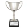 ar563b-silver Silver recognition cups with plastic / metal construction