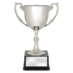 Silver recognition cups with plastic / metal construction