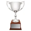 cup192b-silver Silver recognition - timber base with metal / timber construction