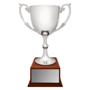 Silver recognition - timber base with metal / timber construction