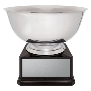 Silver revere bowl with plastic / metal construction