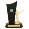 yt8664a-gold Gold shooting male timber crest with plastic / timber construction
