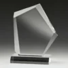 act04a-grey-bg Sierra award with acrylic construction