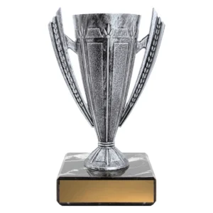 Silver silver cup with plastic / marble construction