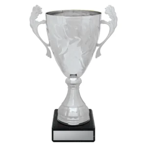 Silver silver eternal cups with plastic / metal / marble construction