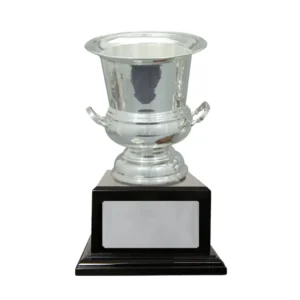 Black / silver silver plated cup with metal / timber construction