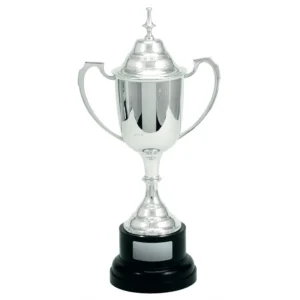 Silver silver plated cup on base with lid with silver plated brass construction