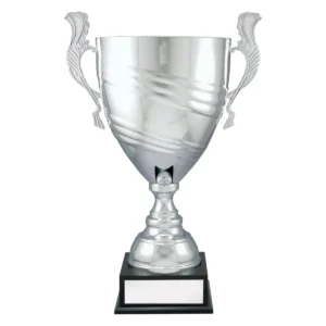 Silver silver prestige cup with metal / timber construction