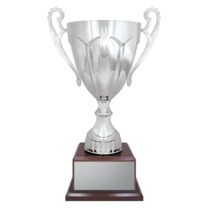 Silver silver rubicon - timber base with plastic / metal / timber construction