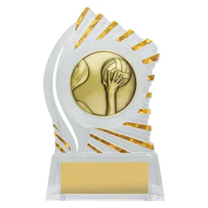 Clear with gold solar water polo with acrylic construction