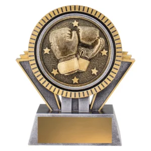 Silver / gold spartan - boxing with resin construction