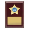 pl07a-rosewood Rosewood star plaque - gold with timber construction