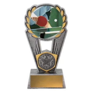 Silver table tennis polaris - colour with resin construction