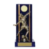 -gold Blue / gold timber buildup football fem. with plastic / timber construction