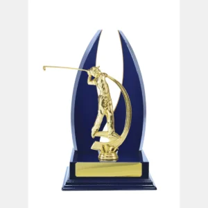 Blue / gold timber buildup golf with timber / plastic construction