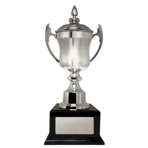 Black / silver umbria cup with metal / timber construction