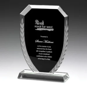 Black unity glass with glass construction