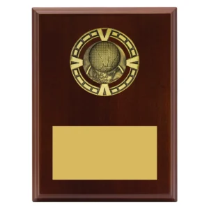 Walnut varsity plaque - basketball with timber / metal construction
