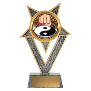Silver ventura - martial arts with resin construction