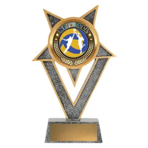 Silver ventura - netball with resin construction