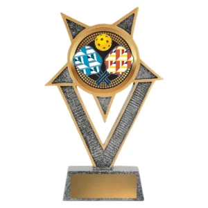 Silver ventura - pickleball with resin construction