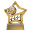 Silver volleyball mini star with resin construction