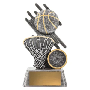Silver zoom basketball with resin construction