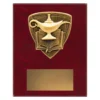 Academic Nova Plaque small Academic plaque with lamp of knowledge and open book emblem on a wooden plaque.