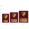 American Football Nova Plaque American Football Nova Plaques next to ruler