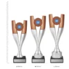 Armada Silver and Bronze Armada Silver and bronze trophies next to ruler