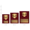 Cup Nova Plaque Cup Nova Plaques next to ruler