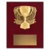 Cup Nova Plaque small Cup plaque with cup emblem on a wooden plaque.