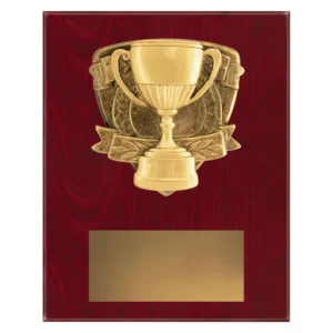Cup plaque with cup emblem on a wooden plaque.