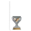 Football Safeguard trophies next to ruler