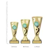 Genius Carnival Cup trophies next to ruler