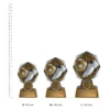 Icarus Football Icarus Football trophies next to ruler