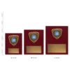 Nova Plaques Nova Plaques next to ruler