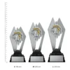 Trivia Shadowcrest trophies next to ruler