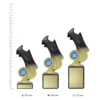 Vespa Gold and Black Vespa gold and Black trophies next to ruler